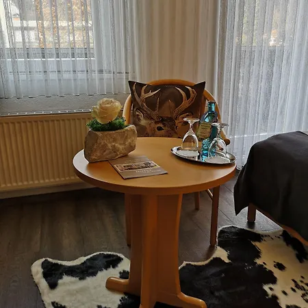 Отель Am Kurpark-garni 3*