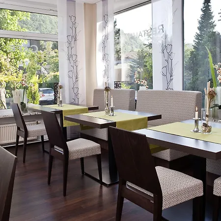 Otel Am Kurpark-garni 3*