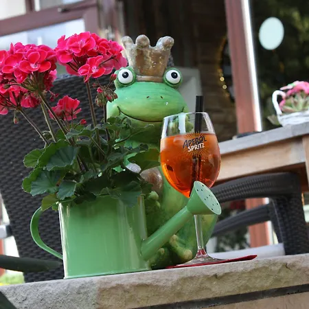 Am Kurpark-garni 3* Бад-Лаутерберг