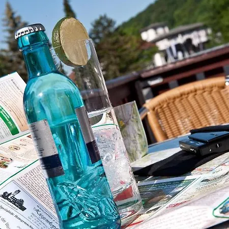 Am Kurpark-garni 3* Бад-Лаутерберг