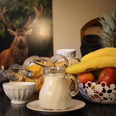 Am Kurpark-garni Отель 3*